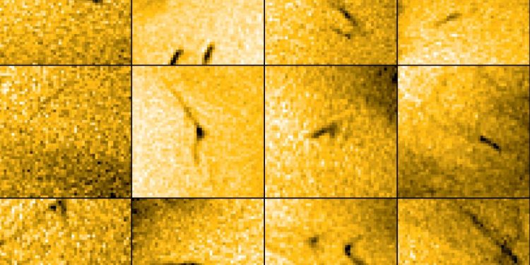 Images From The Solar Orbiter Spacecraft Reveal Tiny Flares Coming Out Of A Hole In The Sun They Can Explain How The Sun Blasts The Earth With Charged Particles 64E9D203E94D9